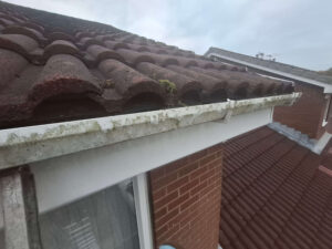 Stained gutter at front of property.