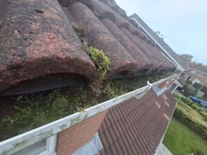 Moss filled front gutter.