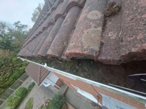 Weeds removed from gutter.