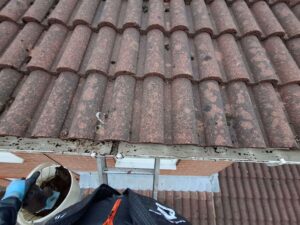 Wide angle view of gutter after dirt removed.