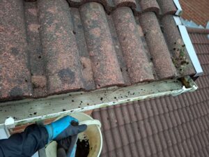 End view of gutter with dirt removed.