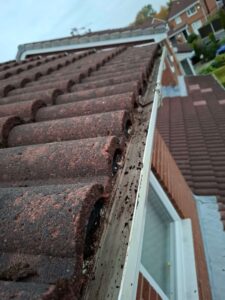 Side view looking down gutter after dirt removed.