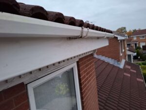 Front gutter and fascia boards cleaned.