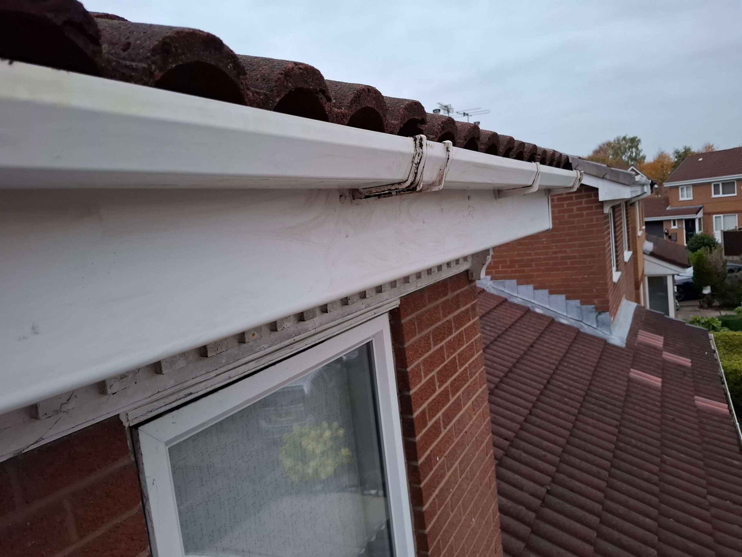 20251016_181255 Front gutter and fascia boards cleaned.