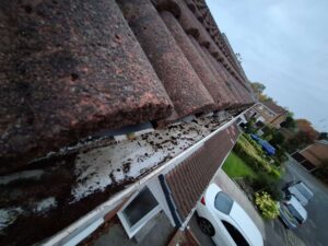 Angled view of dirt being removed from gutter.