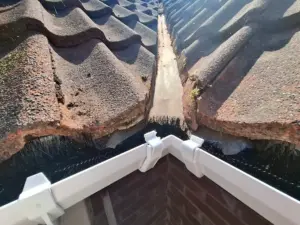 Roof gutter corner joint cleared of weeds.