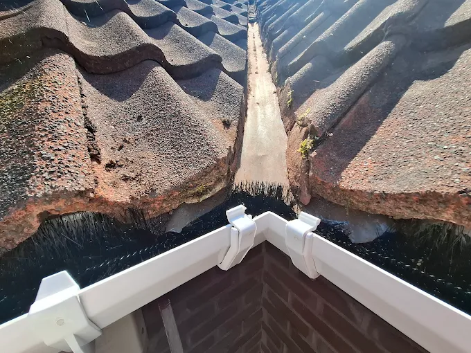 Roof gutter corner joint cleared of weeds.