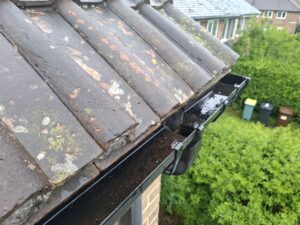 After view of gutter once all moss and plants removed.