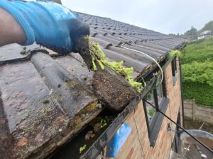 Moss being removed from gutter.