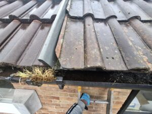 Front view of house gutter before cleaning.