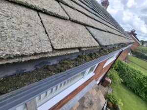 Full view of blocked and overgrown guttering.