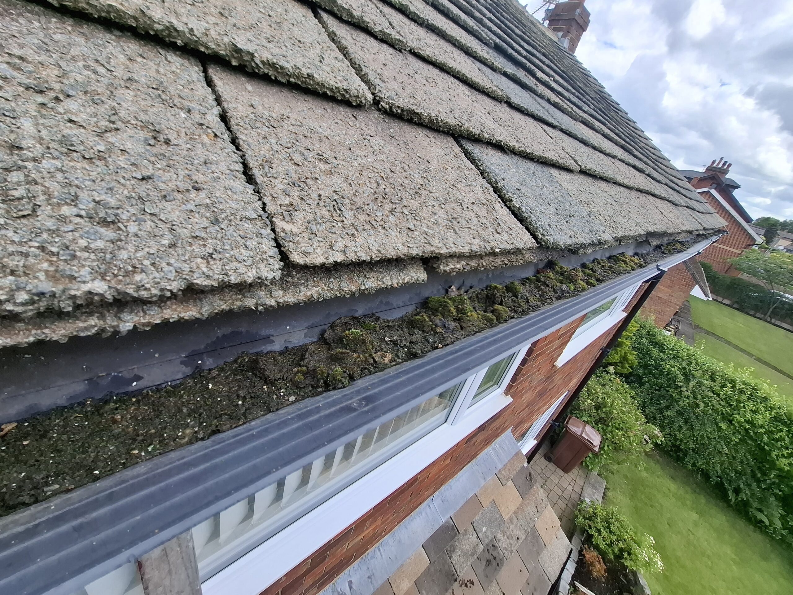 Blocked Overgrown Guttering Full view of blocked and overgrown guttering.