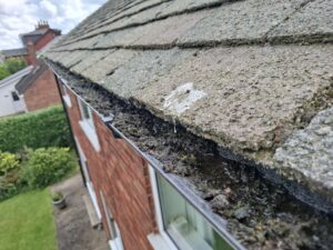 Close up view of clogged overgrown gutter Longton.