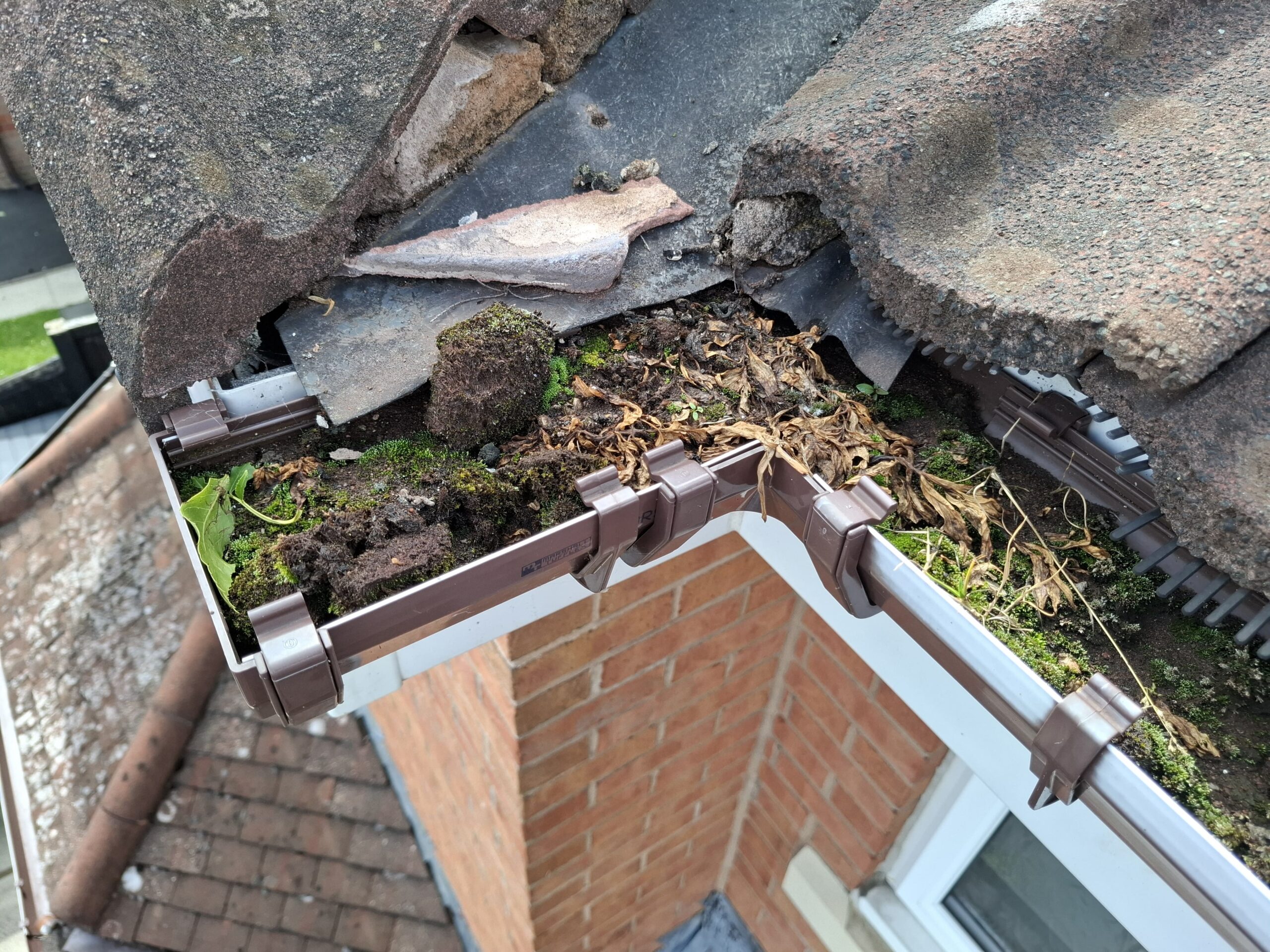 Gutter cornering blocked by overgrowth.