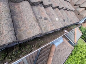 Soil filled guttering.