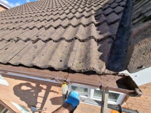 Cleaned gutter removing overgrowth Penwortham.