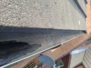 Thorough gutter cleaning completed Houghton.
