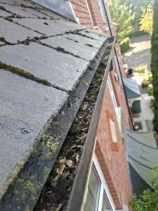 Wide angle view of roofing tiles and guttering blocked with leaves and moss.