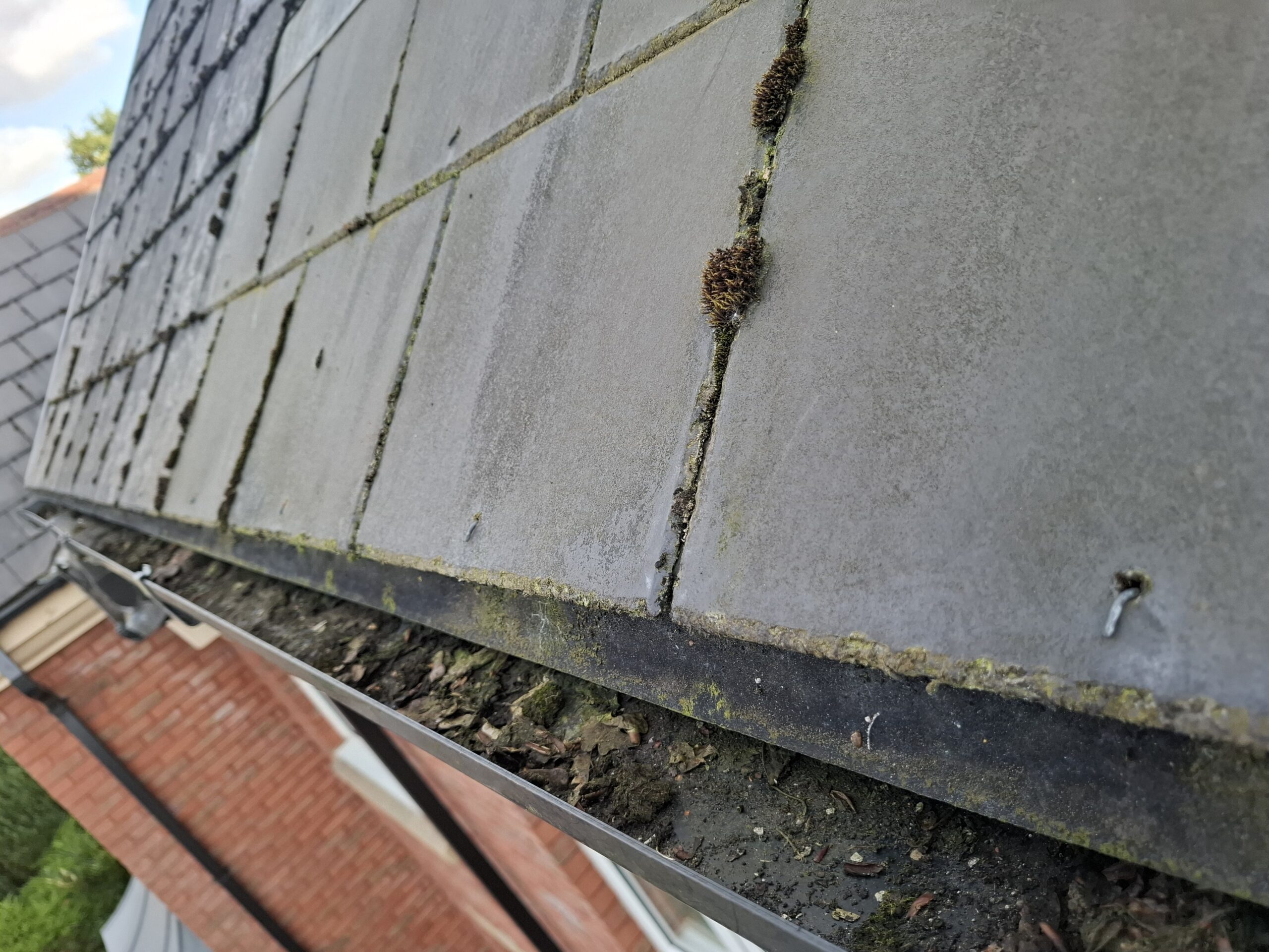 View of roof tiling and guttering with moss growing between all cracks.