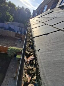Long view of terraced properties with blocked guttering.