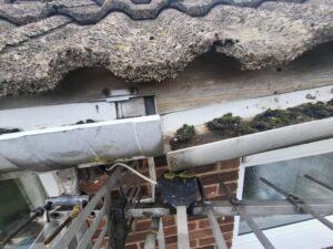 Clogged and broken guttering above television aerial on Hoghton property.