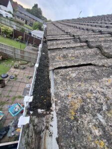 View of guttering running along the back of four terraced houses that are completely clogged.