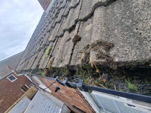 View down entire top floor guttering with overgrowth within and completely blocked throughout.