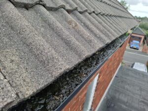 Wide angle view showing completely clogged upper guttering on property.