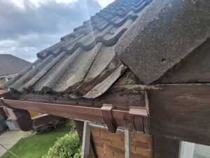 Angled view of cleaned out guttering in Fulwood after overhanging weeds removed.