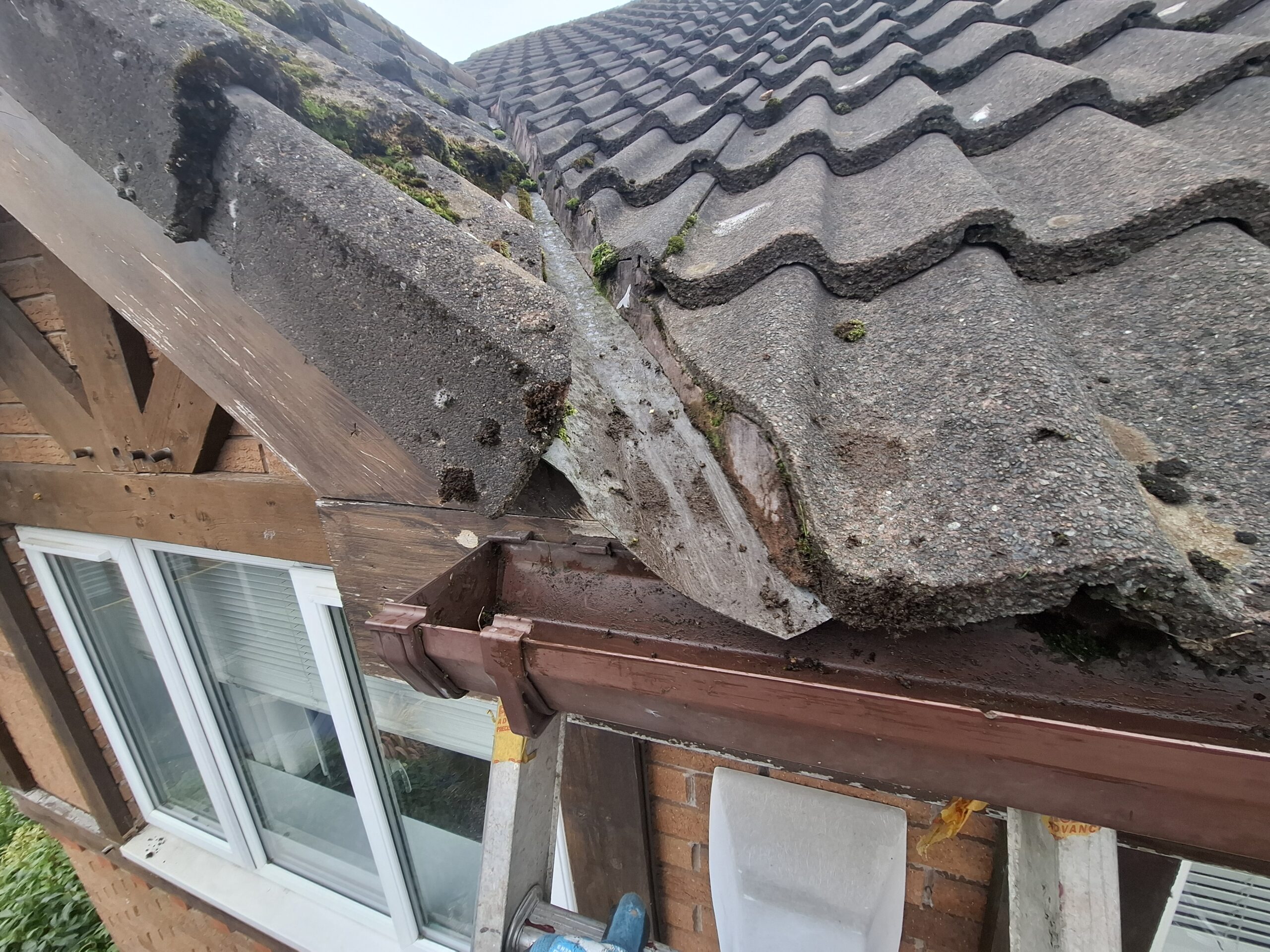 Overhanging weeds removed from brown upper guttering in Fulwood home.