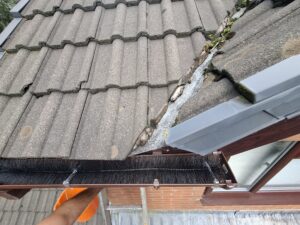Gutter guard fully installed in Fulwood guttering.