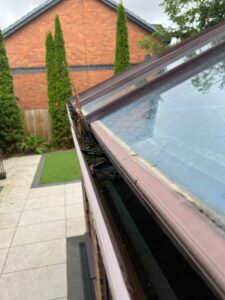 Looking down length of conservatory guttering with weeds growing.